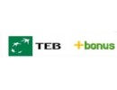 Teb